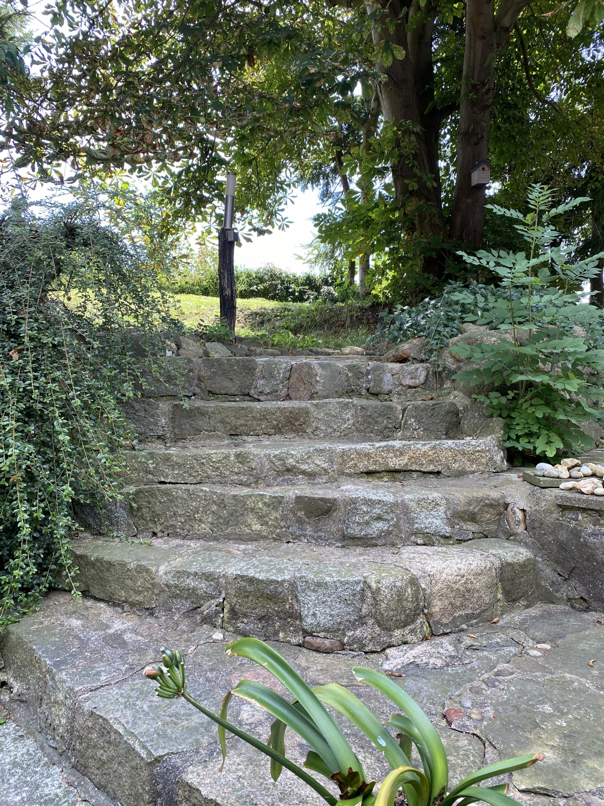 Steintreppe_Garten