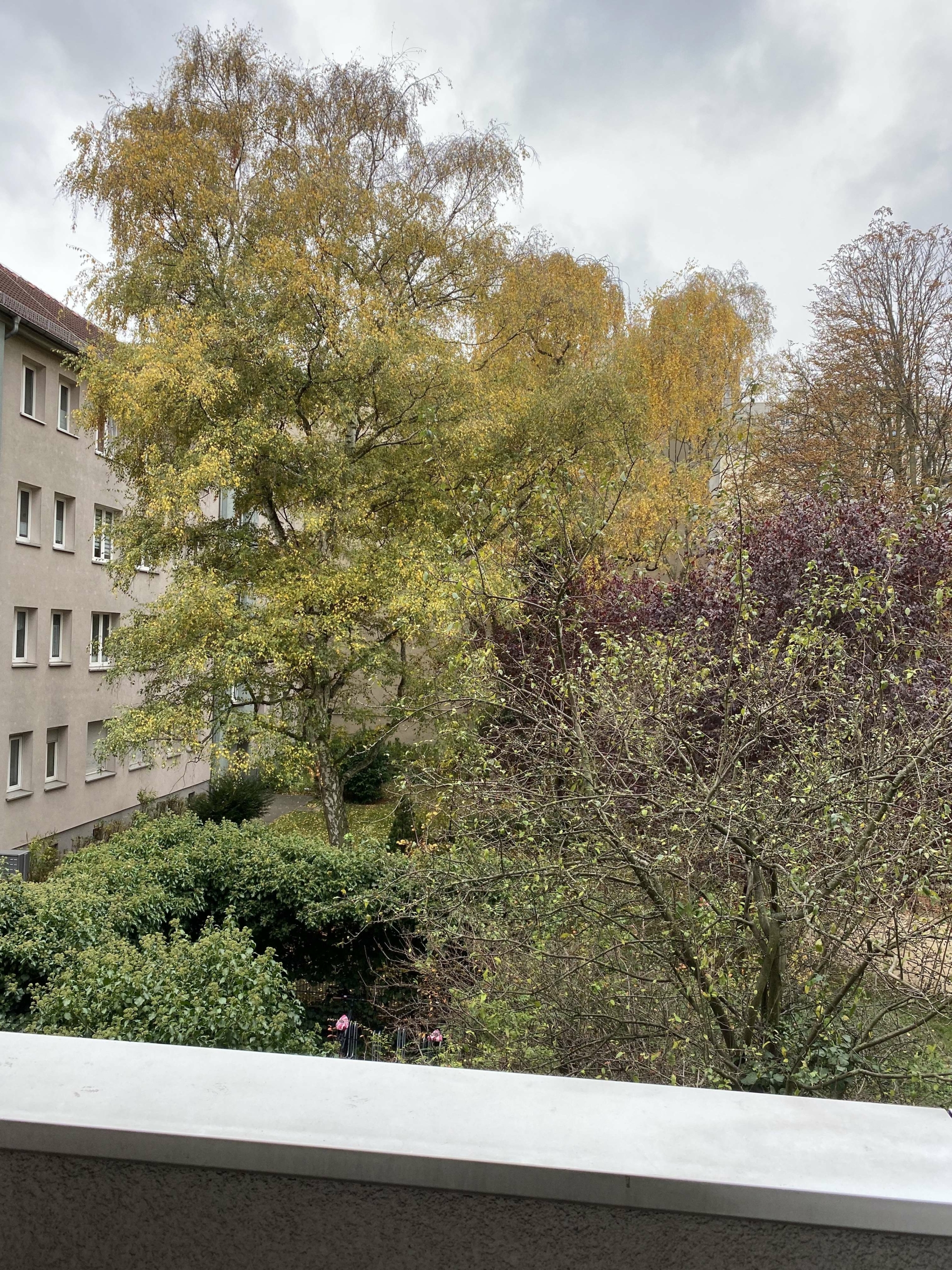 Ausblick_Balkon