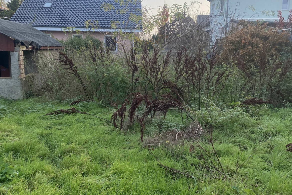 Grundstück hinterer Blick