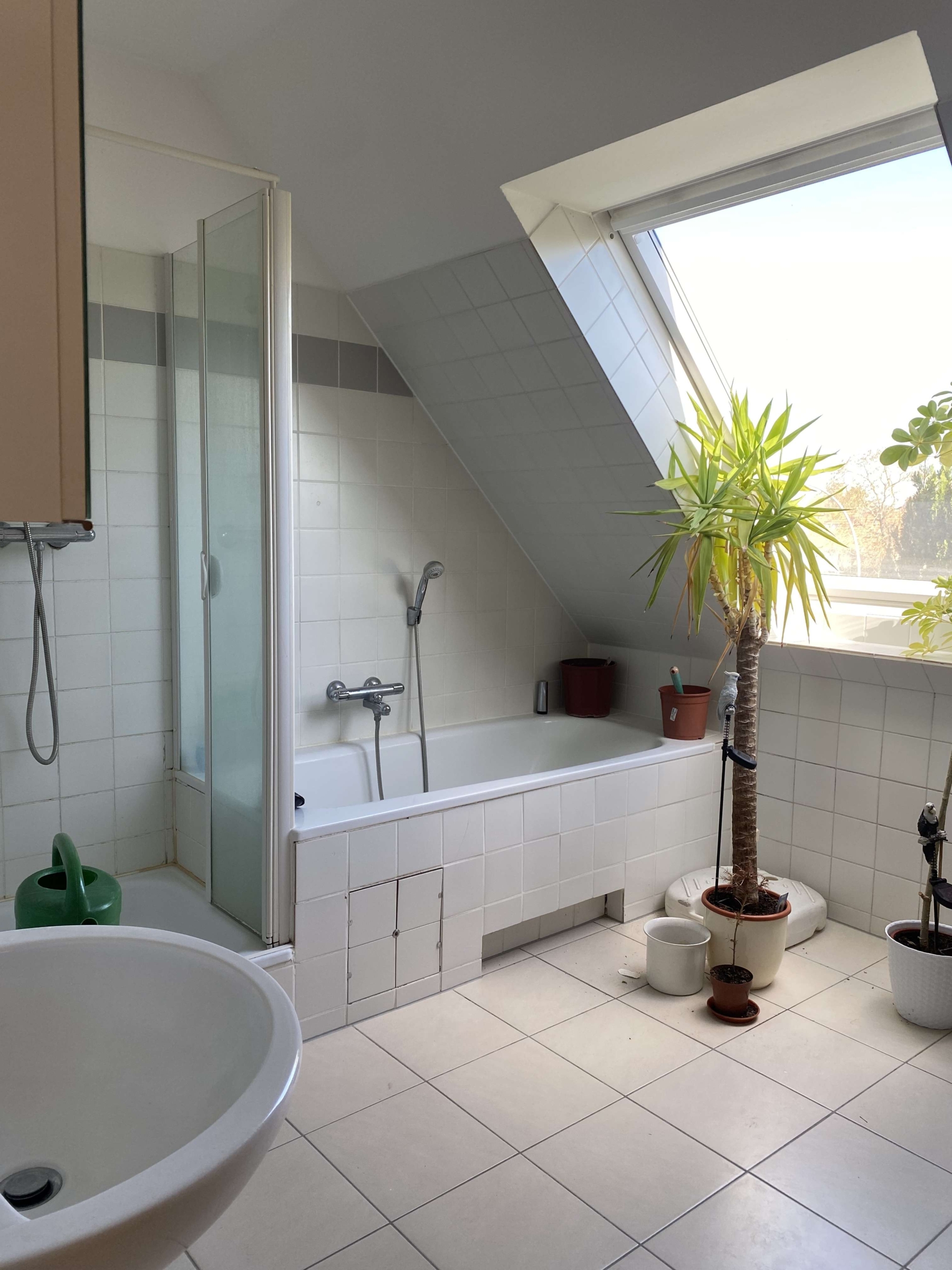 Wannenbad _Dusche