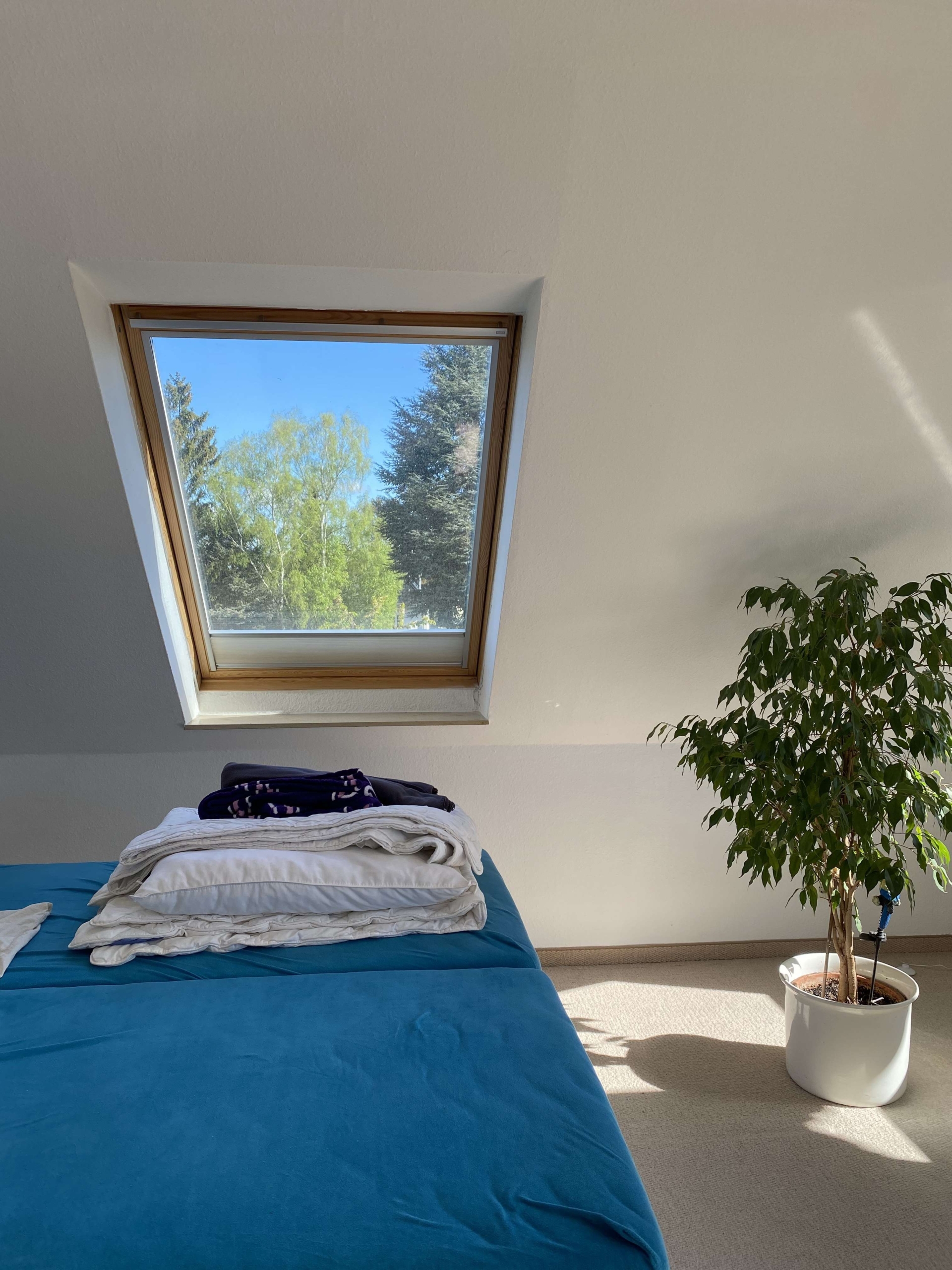Nordfenster_Schlafen
