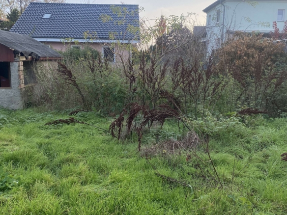 Grundstück hinterer Blick