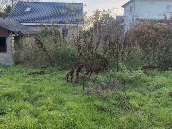 Grundstück hinterer Blick