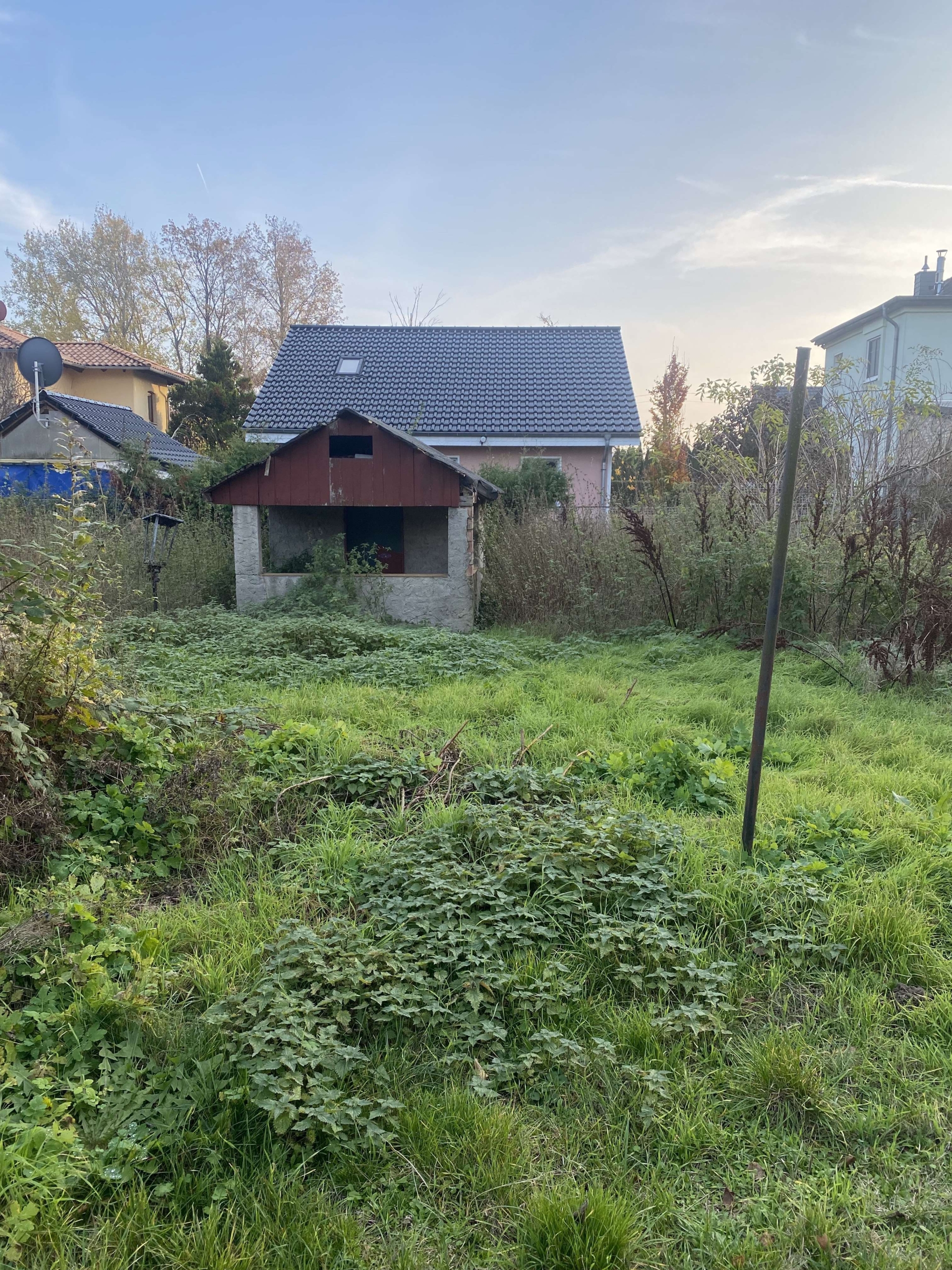 Süden_linke_Grundstücksseite