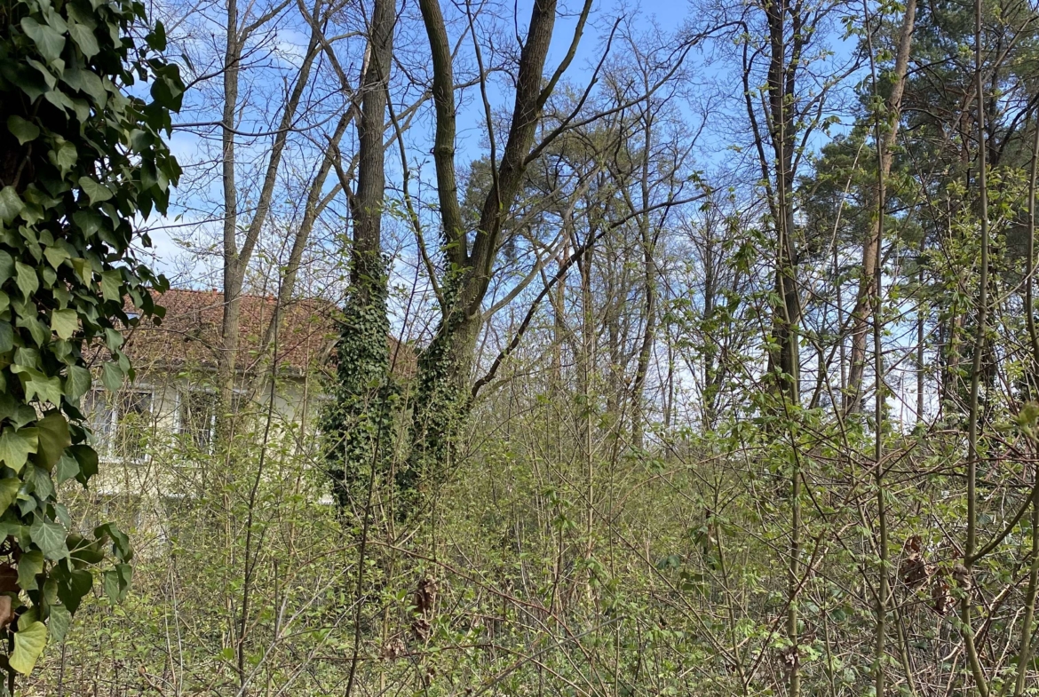 Schulzendorf_Blick_zum_rechten