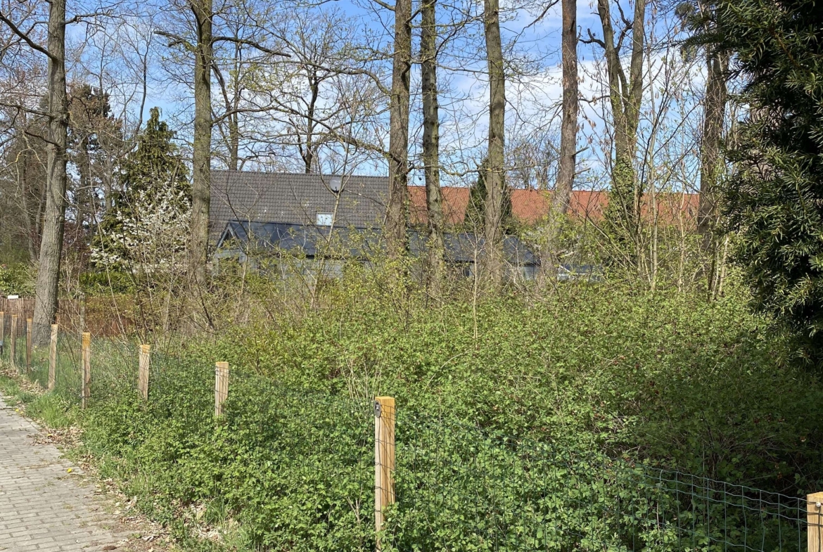 Schulzendorf_Weg