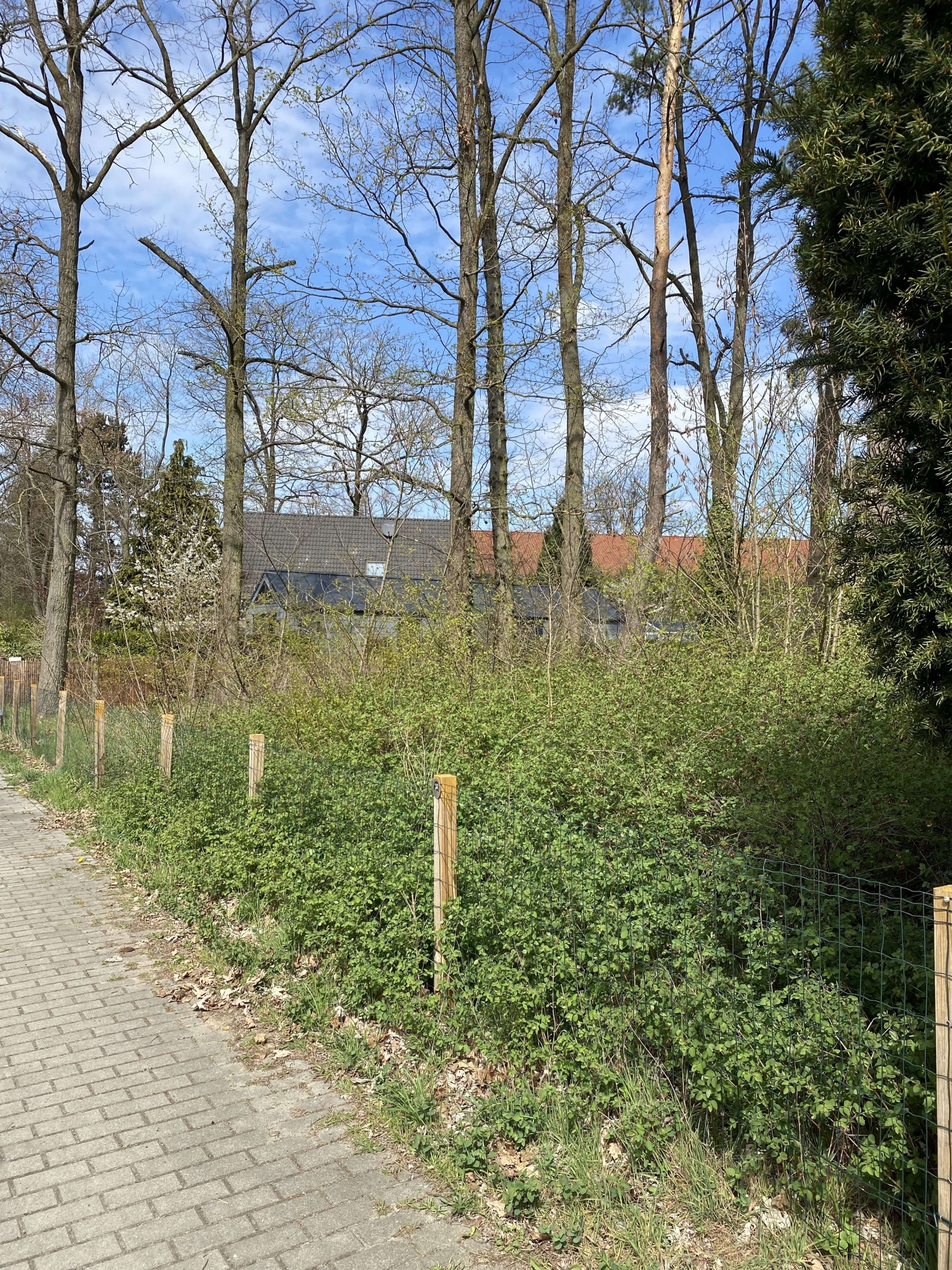 Schulzendorf_Weg
