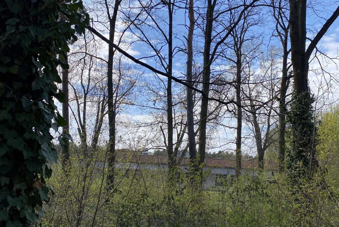 Schulzendorf_Blick_zur_Straße
