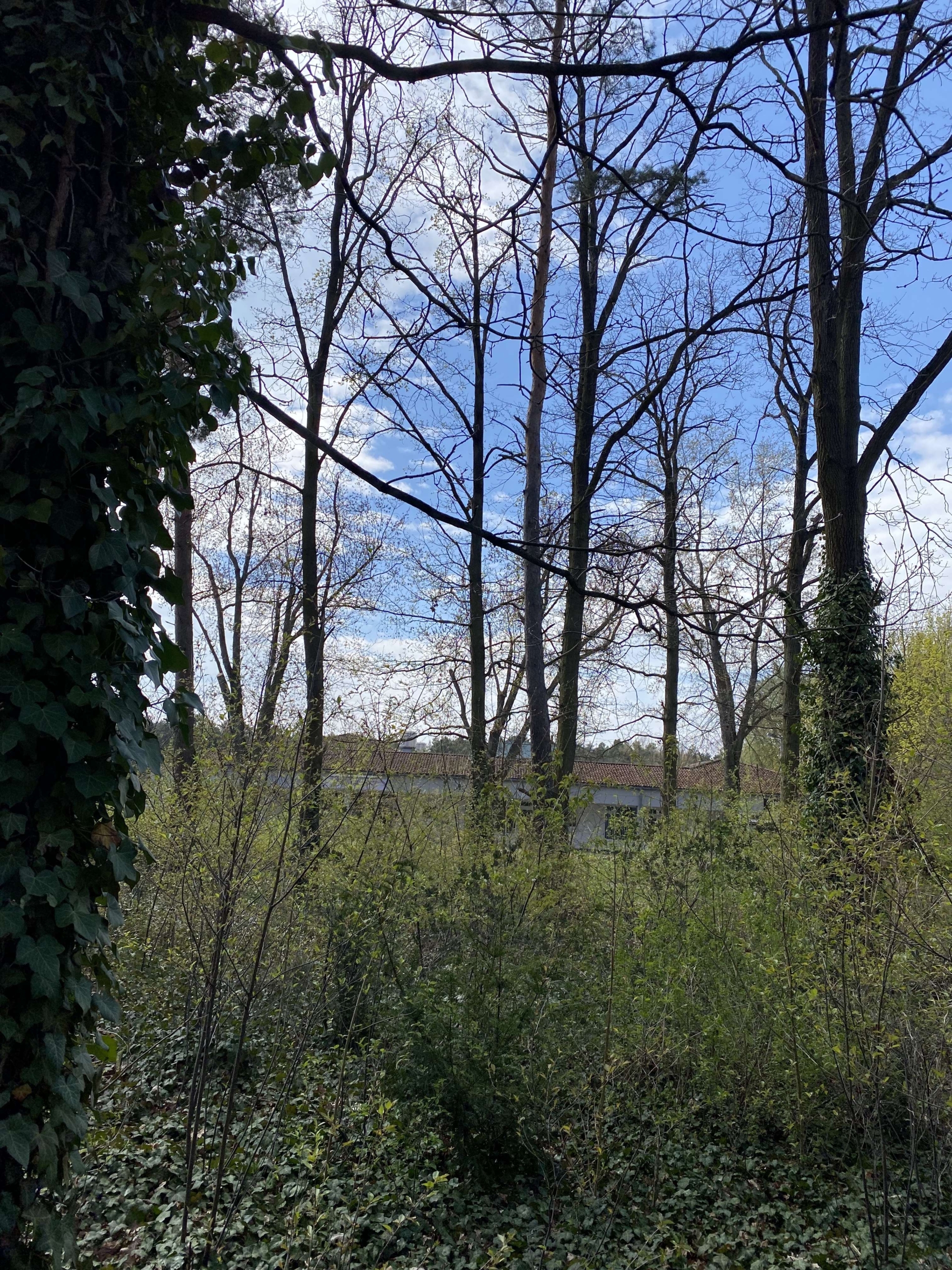Schulzendorf_Blick_zur_Straße