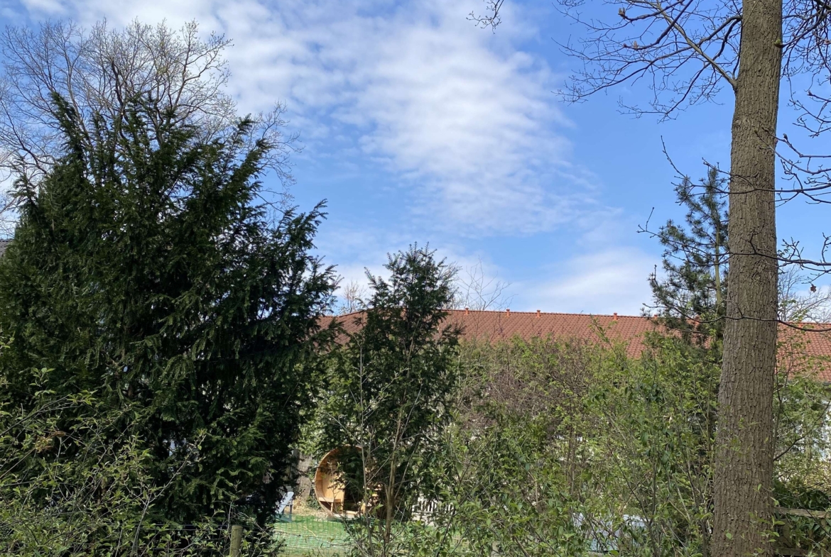 Schulzendorf_Blick_zum_linken_