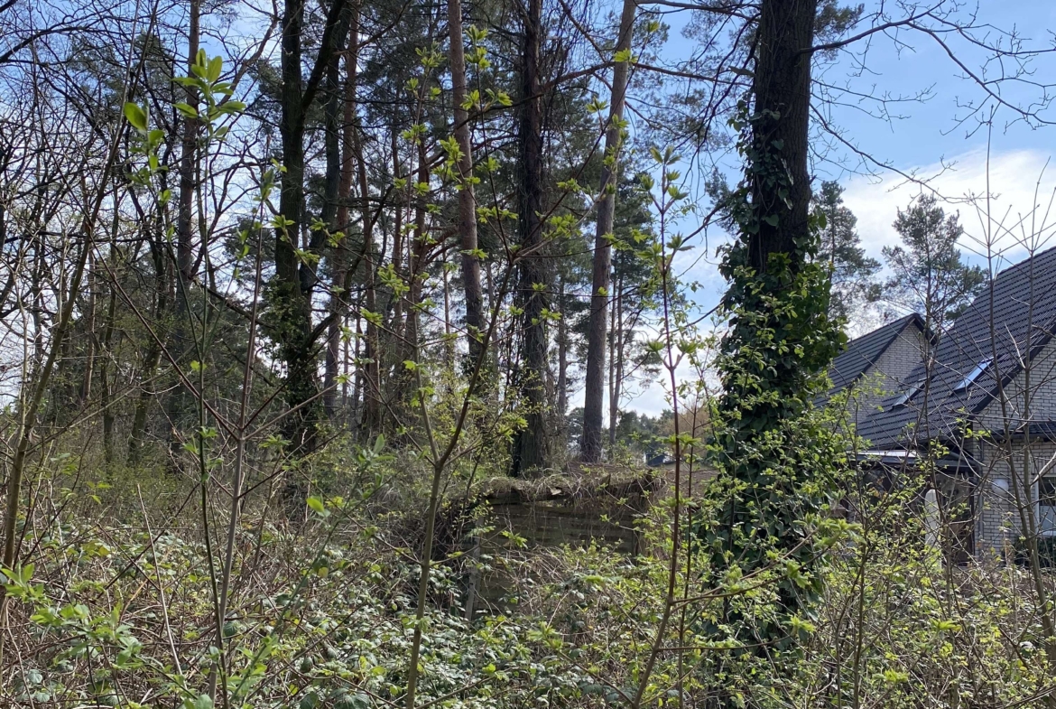 Schulzendorf_Blick_rechte_Grun