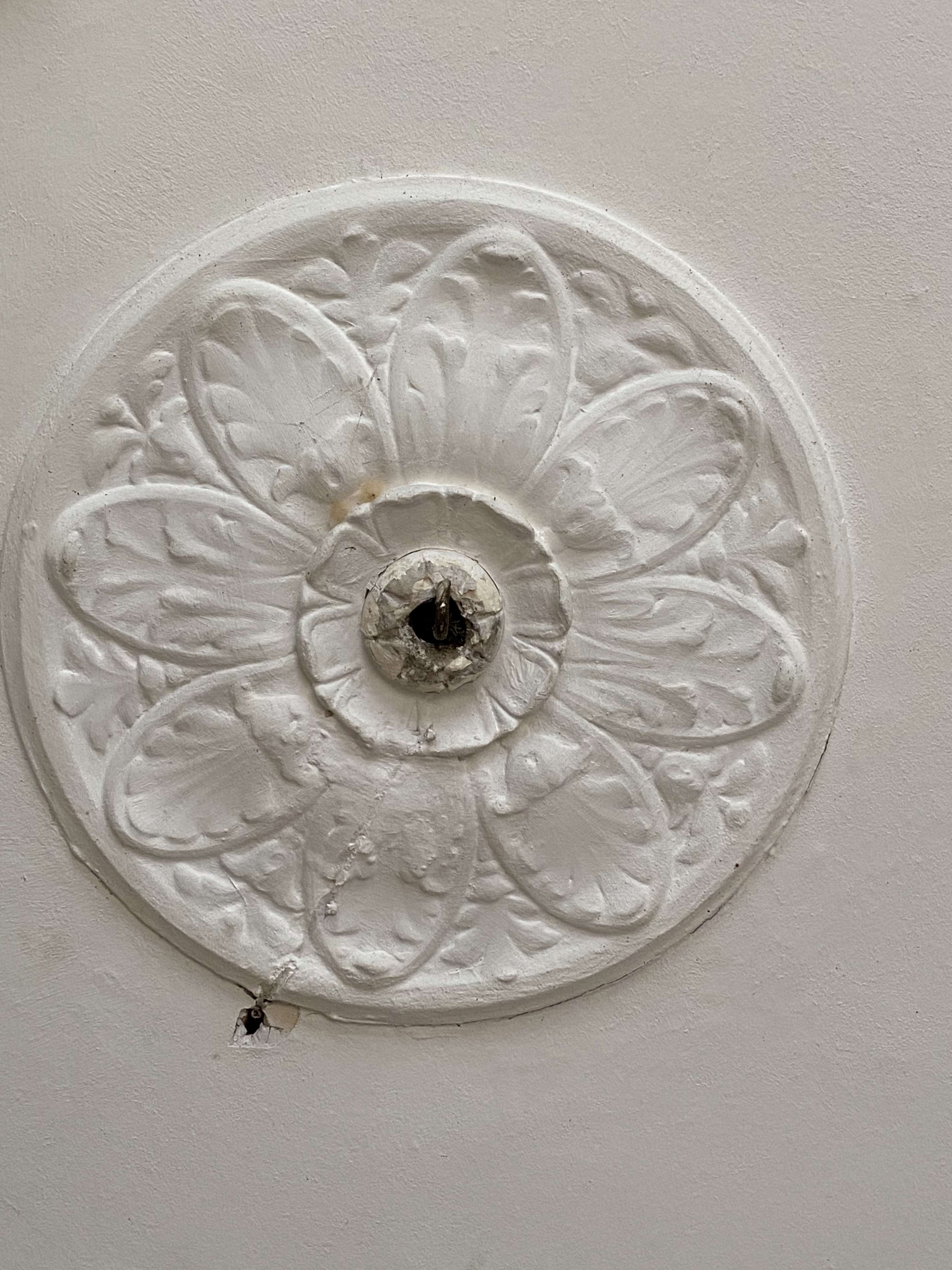 Johanna-Stegen_Rosette_Decke Johanna-Stegen_Rosette_Decke